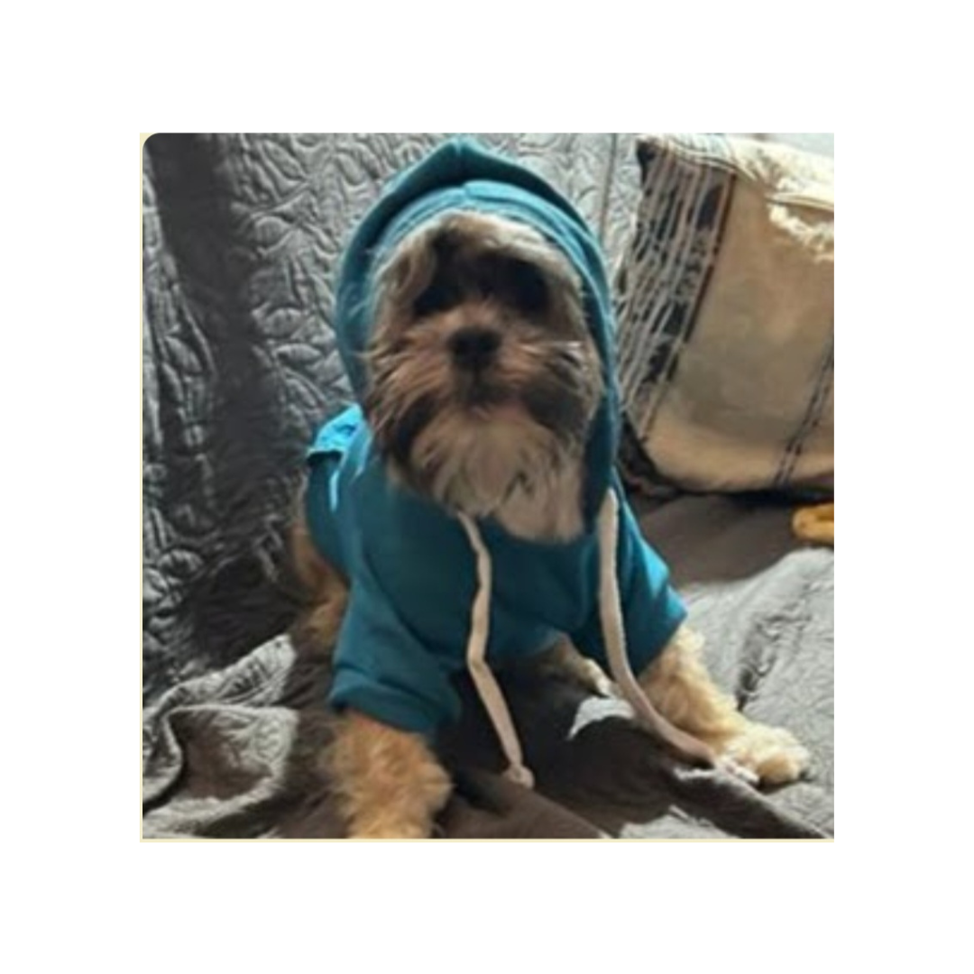 Hoodie`s für Hunde