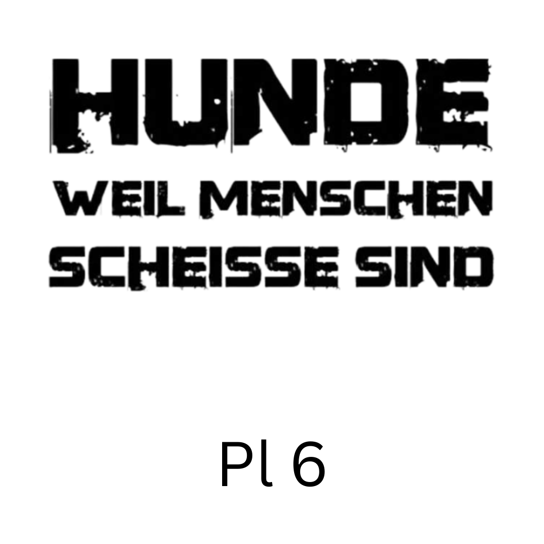 T-Shirt`s für Erwachsene