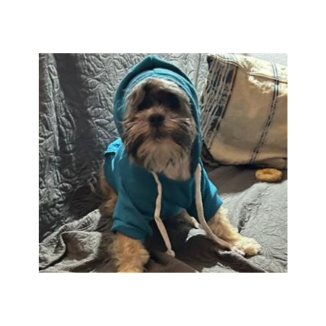 Hoodie`s für Hunde